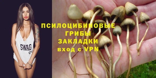 гашик Лихославль