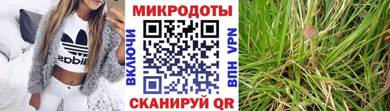 Псилоцибиновые грибы GOLDEN TEACHER как найти закладки Новопавловск